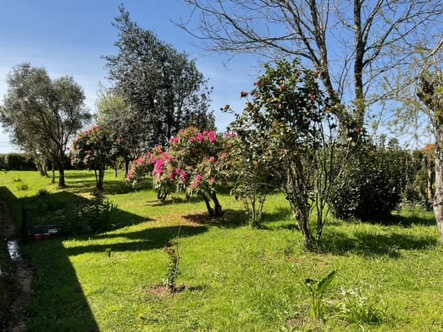 A Casa do San Paio de Buscás - Casa de uso turístico en Ordes